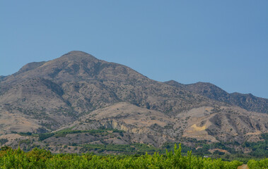 Fototapeta na wymiar Mountain view in Santa Clara River Valley. Agricultural area in Fillmore, Ventura County, California
