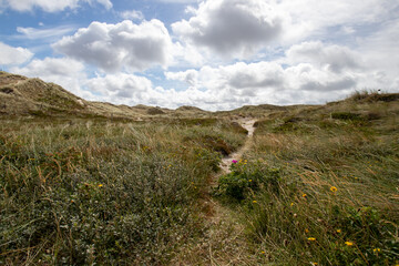 Dunes near Hvide Sande