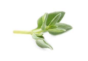 Aromatic thyme leaves on white background. Fresh herb