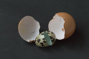 A small broken eggshell inside another broken eggshell  as a symbol of having born twice