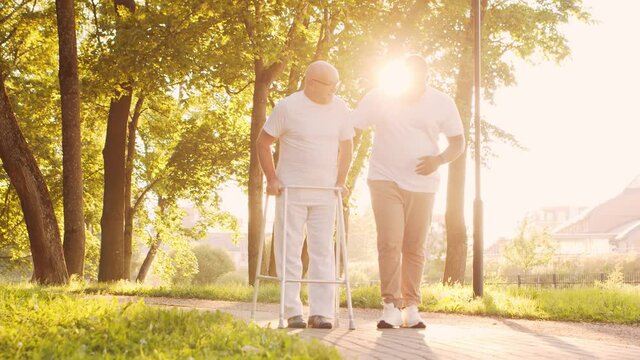 African-American caregiver is teaching disabled old man to walk with walker. Professional nurse and handicapped patient in the park. Assistance, rehabilitation and health care. Golden hour sunset.