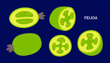 Set of exotic feijoa fruit. Vector doodle illustration of whole and sliced tropical fruit pineapple guava isolated on blue background