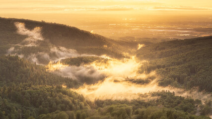 Fog drifts through the Black Forest after a summer thunderstorm