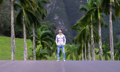 Man standing in road in Hawaii with palm trees and mountains