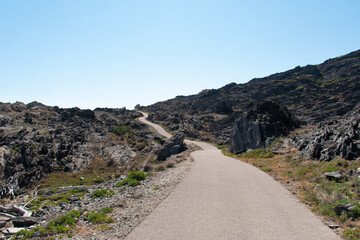 Camino