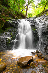Fototapeta premium Waterfall in the forest 