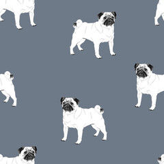 seamless pattern with white dog breed pug on a blue background, graphic illustration