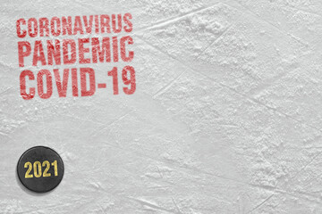 Fragment of the hockey arena and the puck