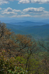 Blue Skies Autumn Mountain Range