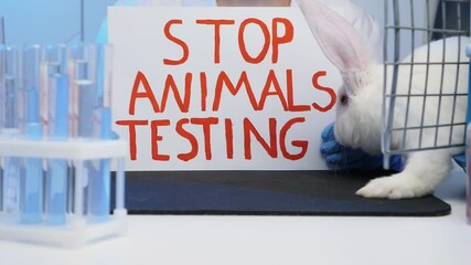 White rabbit rejoices that a man refuses to test cosmetics on animals, a woman in gloves holds a banner with the inscription stop testing on animals