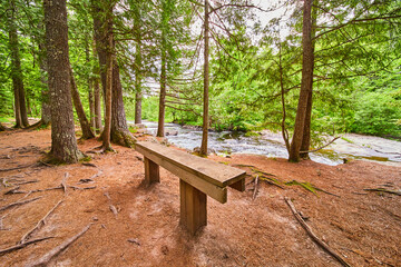 Loan bench scenic view of river and pine needle forest