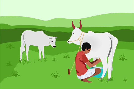 Indian Cow Farmer Images – Browse 3,376 Stock Photos, Vectors, and Video |  Adobe Stock