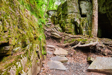 Trail of mossy rocks