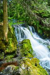 Waterfall with trees and mossy rocks
