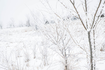 Fototapeta na wymiar Winter in Nebraska
