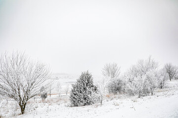 Obraz premium Winter in Nebraska