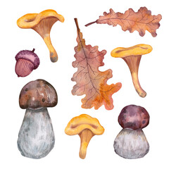 Watercolor set of autumn nature elements