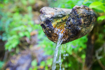 Fresh clean water, source of waters, in the forest. Freshness natural springs. Drinking water in nature