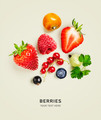 Summer berry and fruit creative layout on bright background