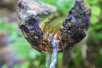 Fresh clean water, source of waters, in the forest. Freshness natural springs. Drinking water in nature