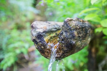 Fresh clean water, source of waters, in the forest. Freshness natural springs. Drinking water in nature