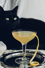 yellow lemon bee's knees cocktail in coupe glass with black cat green eyes background