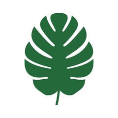 Monstera tropical leaf vector icon illustration