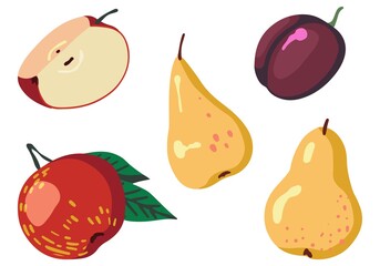 Set of fall harvest. Vector illustrations of autumn season. Drawings of tree fruits, apples, plum, pears. Cartoon colored cliparts collection isolated on white. For decor, sticker, design, card, print