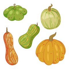 Set of fall harvest. Vector illustrations of autumn season. Drawings of various pumpkins. Cartoon colored cliparts collection isolated on white. Doodles for decor, stickers, design, cards, prints.