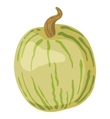 White pumpkin, gourd. Hand drawn vector illustration. Colored cartoon doodle of fall harvest. Single autumn drawing isolated on white. Element for halloween design, print, sticker, card, decor, wrap.