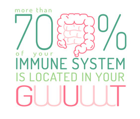 More than 70 percent of our immune system is located in our gut. Medical poster.