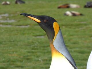 What's happening over there?