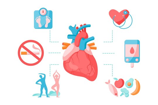 Heart disease and atherosclerosis prevention infographics. Healthy lifestyle concept. Vector flat illustration. Prevention cardiovascular problem. Weight scale, heart, exercise, food, diabetes control