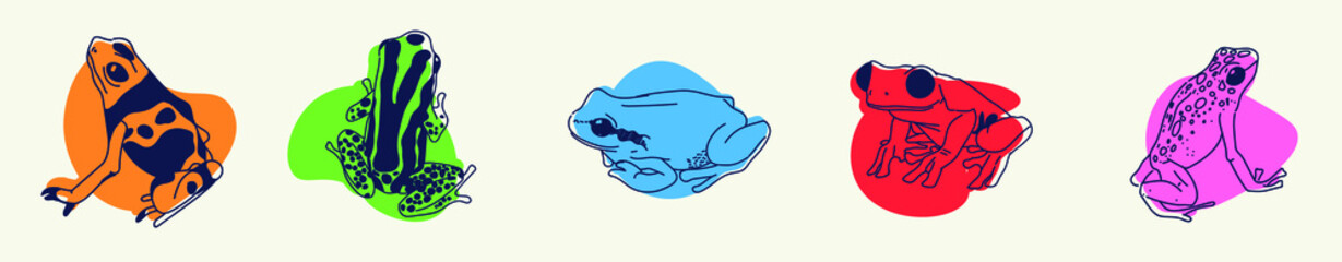 Frogs & colors