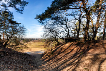Fototapeta na wymiar An inlet in the hilly natural landscape the Otterlose heathland in the Netherlands