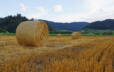 Nach der Getreideernte: zurück bleiben abgeerntete Felder und Rundballen aus Stroh. Tal im...