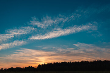 Sunset over the treetops. Place for the text.