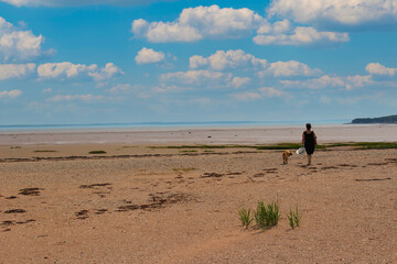 Unidentified person walking on the sandy beach in the Bay of Fundy