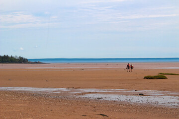 Unidentified people walking on the sandy beach in the Bay of Fundy