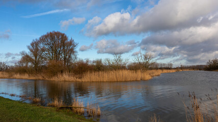 Fototapeta na wymiar Natural landscape de Biesbosch near Dordrecht in the Netherlands