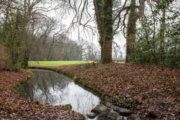autumn in the park