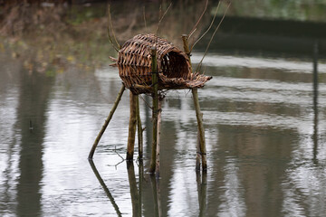 a duck breeding ground in a pond