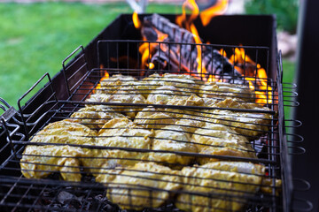 Chicken kebab is cooked on the grill