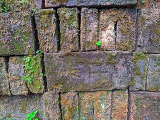 Abandoned pile of old mossy bricks