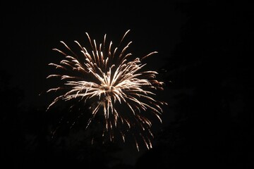 Obraz premium fireworks in the night sky