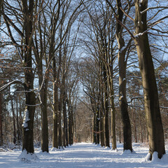 Nature reserve De Vloeiweide in Rijsbergen- The Netherlands