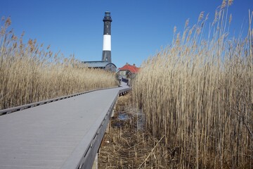 lighthouse on the coast