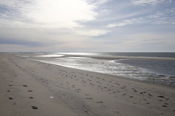 Nature reserve 2nd Maasvlakte - The Netherlands