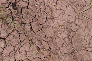 Top view of cracked arid soil with dry grass. Desolate barren land for concept background about global warming and climate change