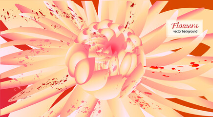 background with flowers